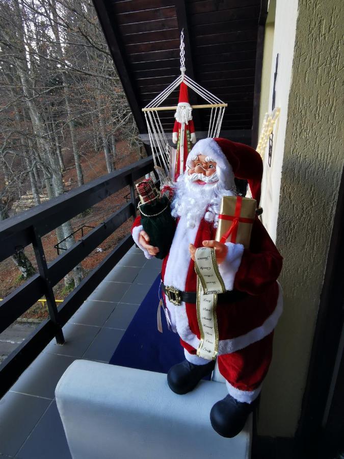 Apartament Kalinderu K1 Buşteni Zewnętrze zdjęcie