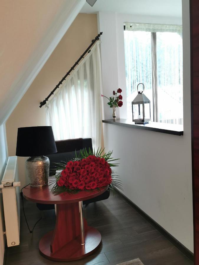 Apartament Kalinderu K1 Buşteni Zewnętrze zdjęcie
