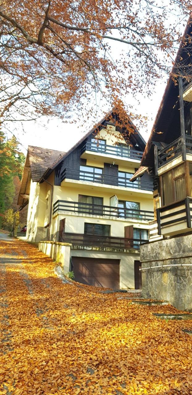 Apartament Kalinderu K1 Buşteni Zewnętrze zdjęcie
