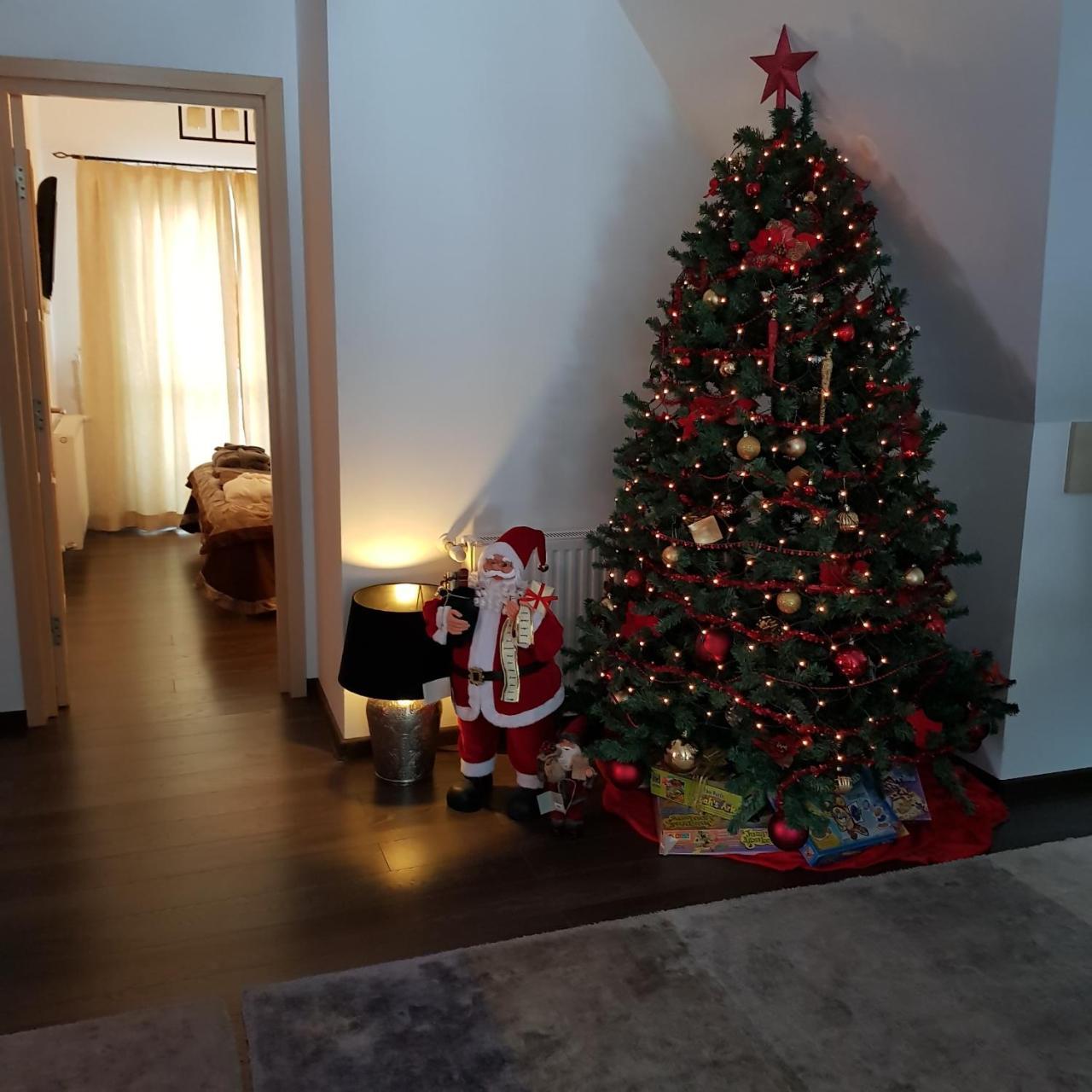 Apartament Kalinderu K1 Buşteni Zewnętrze zdjęcie