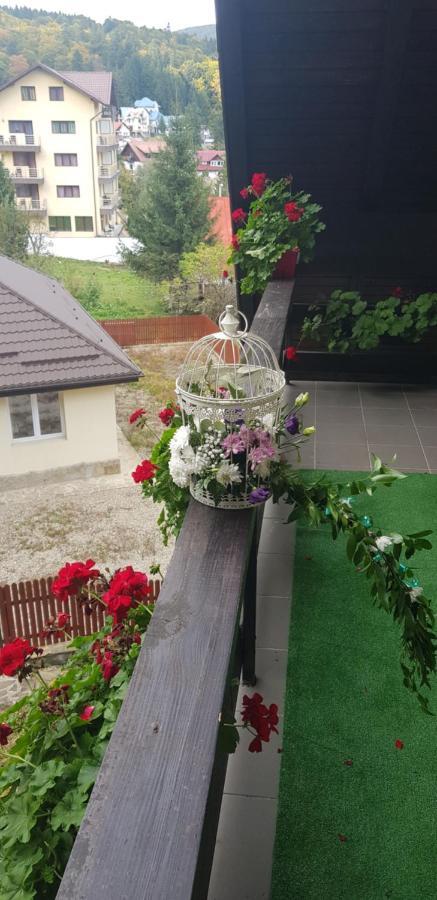 Apartament Kalinderu K1 Buşteni Zewnętrze zdjęcie