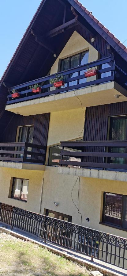 Apartament Kalinderu K1 Buşteni Zewnętrze zdjęcie
